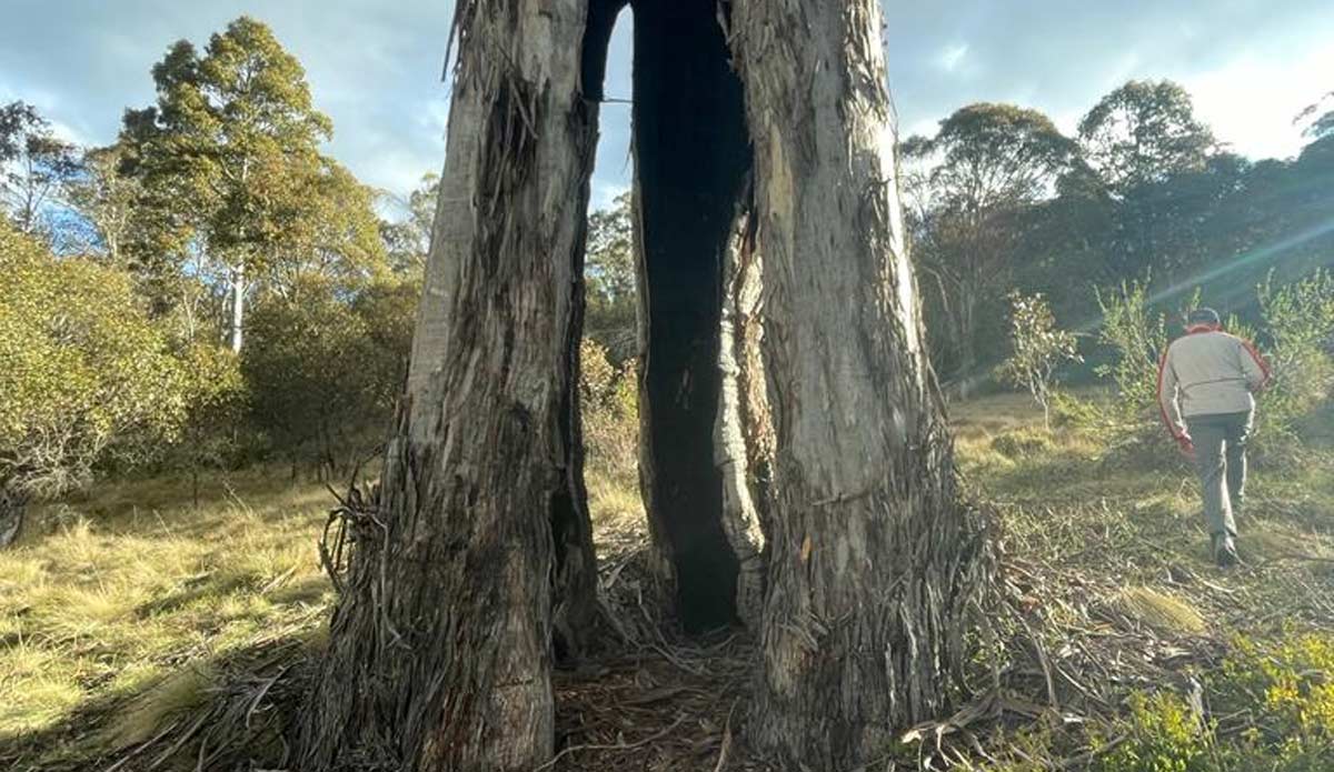 Bushwalking – Difficult Tracked Environments - Group314